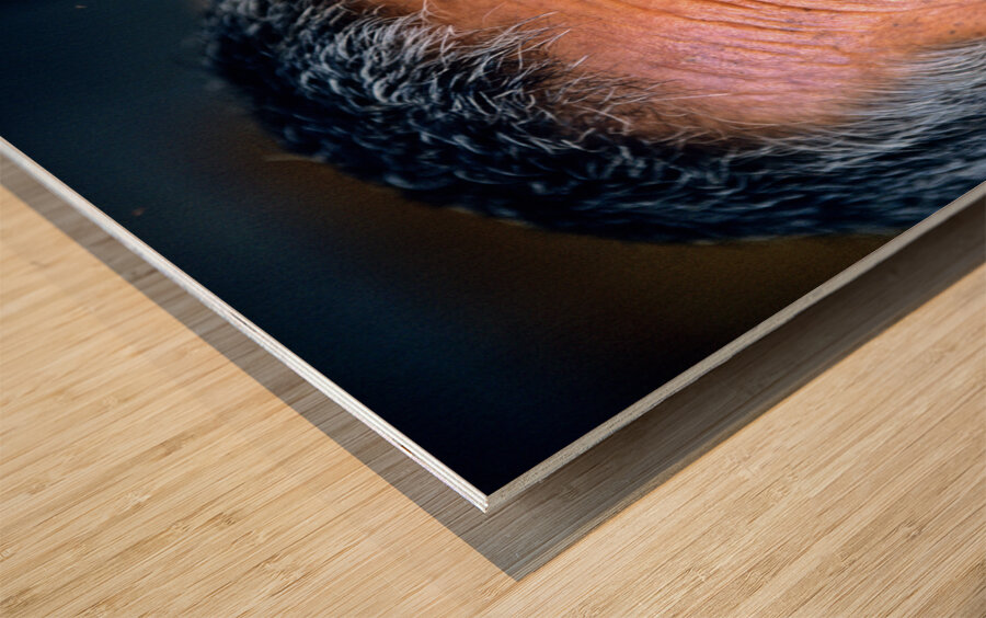 BHUTAN. Bumthang Valley Wood print