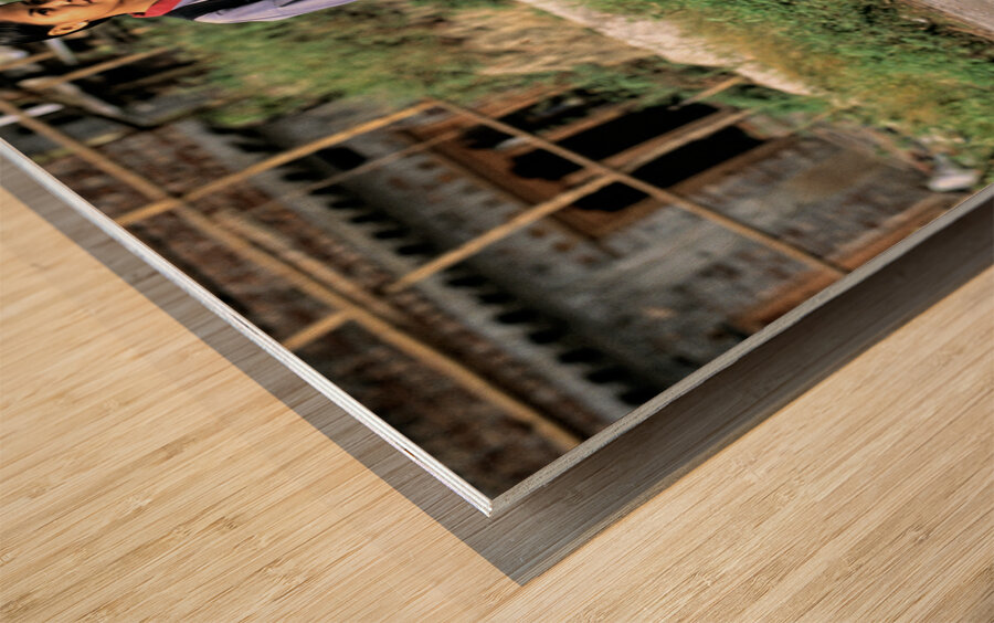 BHUTAN. Punakha Valley Wood print