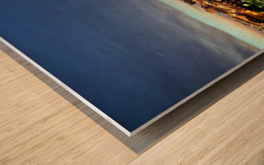 Salt Lake City. Utah USA Wood print