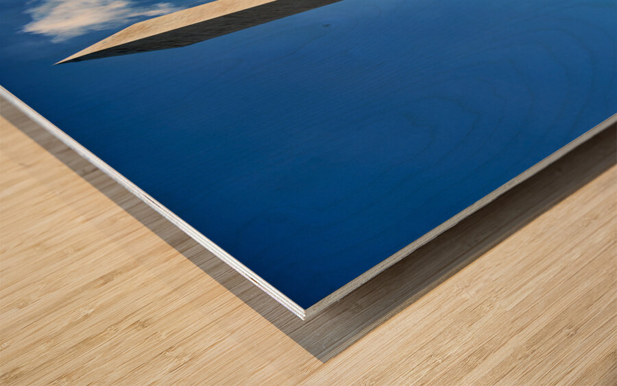 The Washington Monument. Washington D.C. Wood print