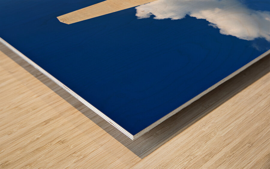 The Washington Monument. Washington D.C. Wood print