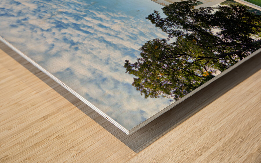 The White House. Washington D.C. Wood print