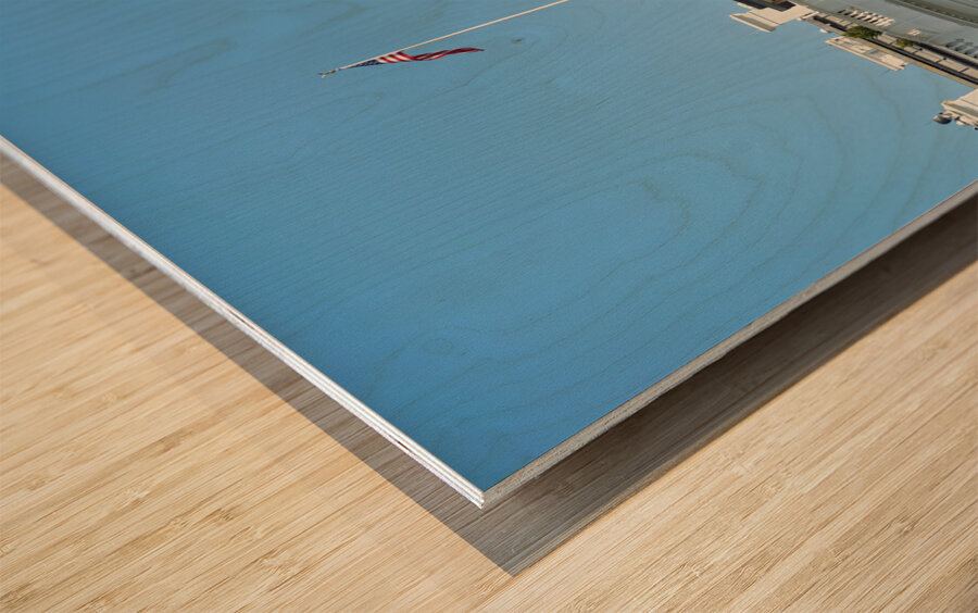 The White House. Washington D.C. Wood print