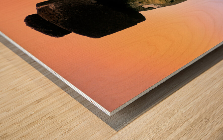 Moai statues at Easter Island Chile. Wood print