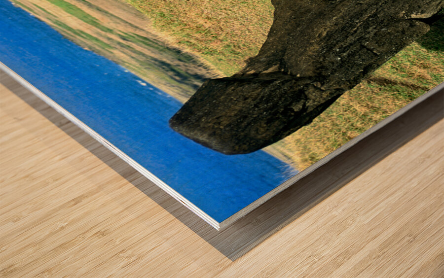 Moai statues at Easter Island Chile. Wood print