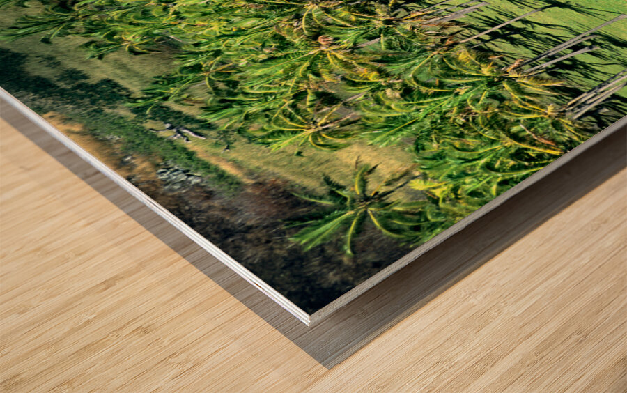 Moai statues at Easter Island Chile. Wood print