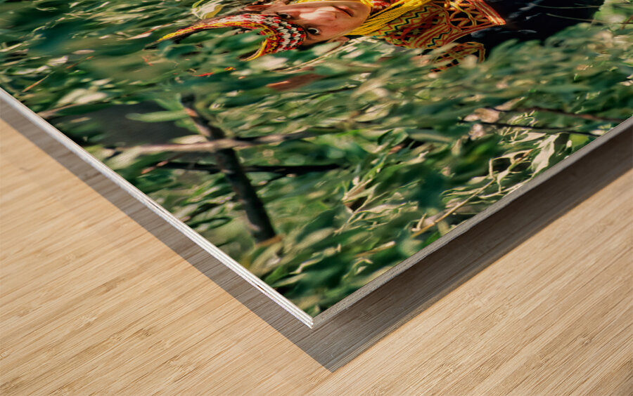 Pakistan. Life in a Kalash Village in Bumburet Valley Wood print