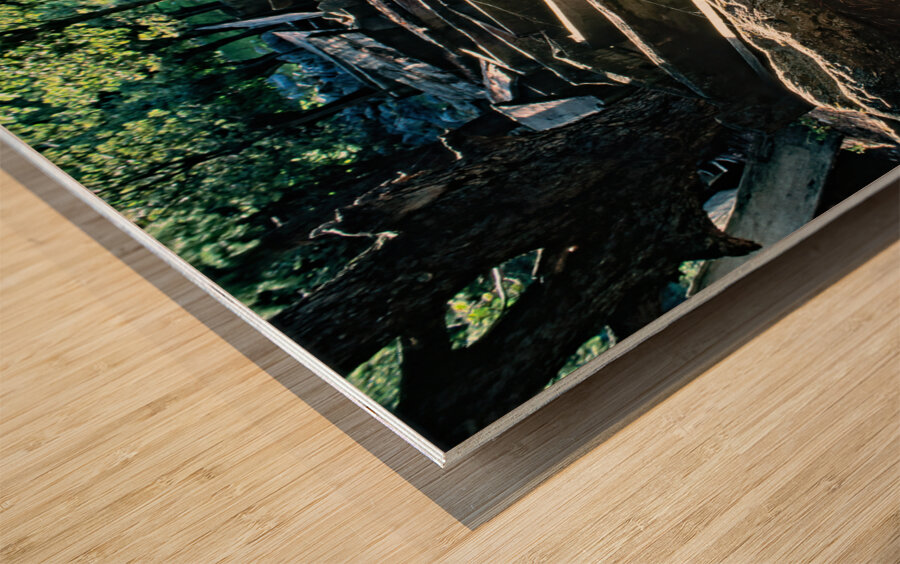 Pakistan. A Kalash cemetery in Bumburet valley Wood print