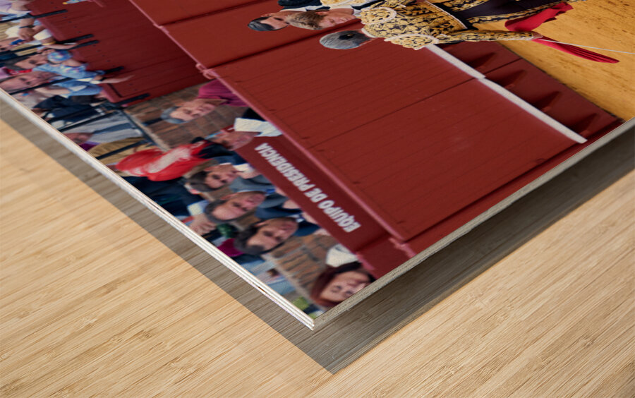 ANDALUSIA SPAIN. Bullfight in Seville Arena Wood print