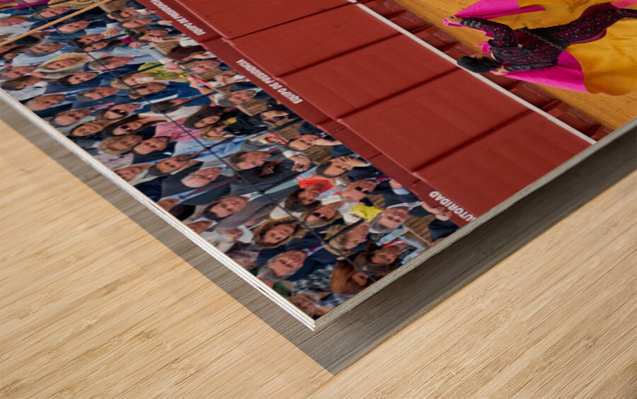 ANDALUSIA SPAIN. Bullfight in Seville Arena Wood print