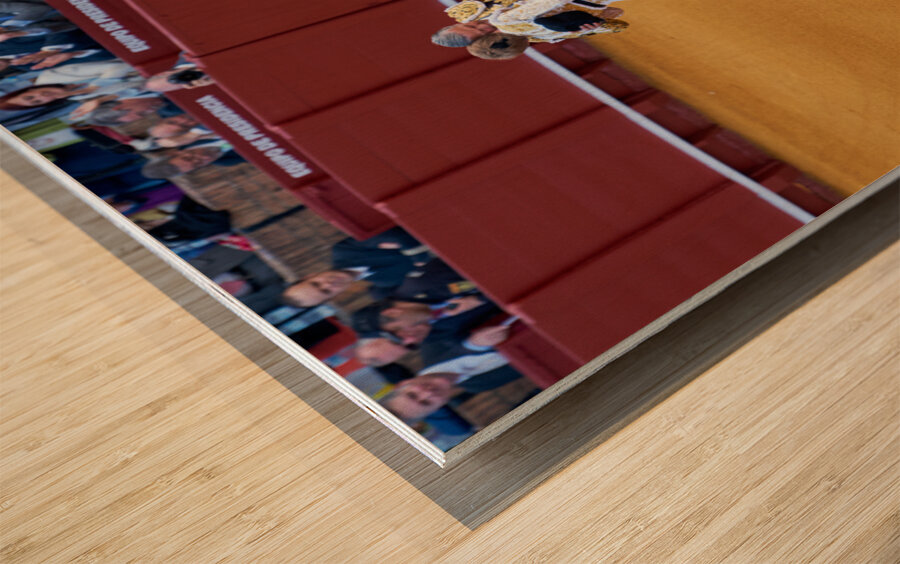 ANDALUSIA SPAIN. Bullfight in Seville Arena Wood print