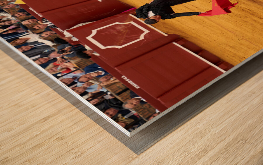 ANDALUSIA SPAIN. Bullfight in Seville Arena Wood print