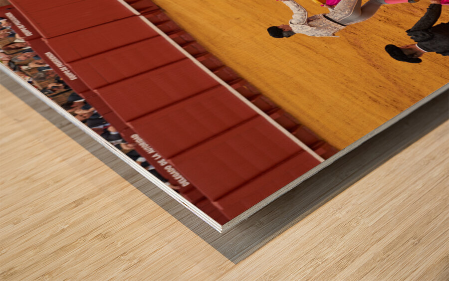 ANDALUSIA SPAIN. Bullfight in Seville Arena Wood print