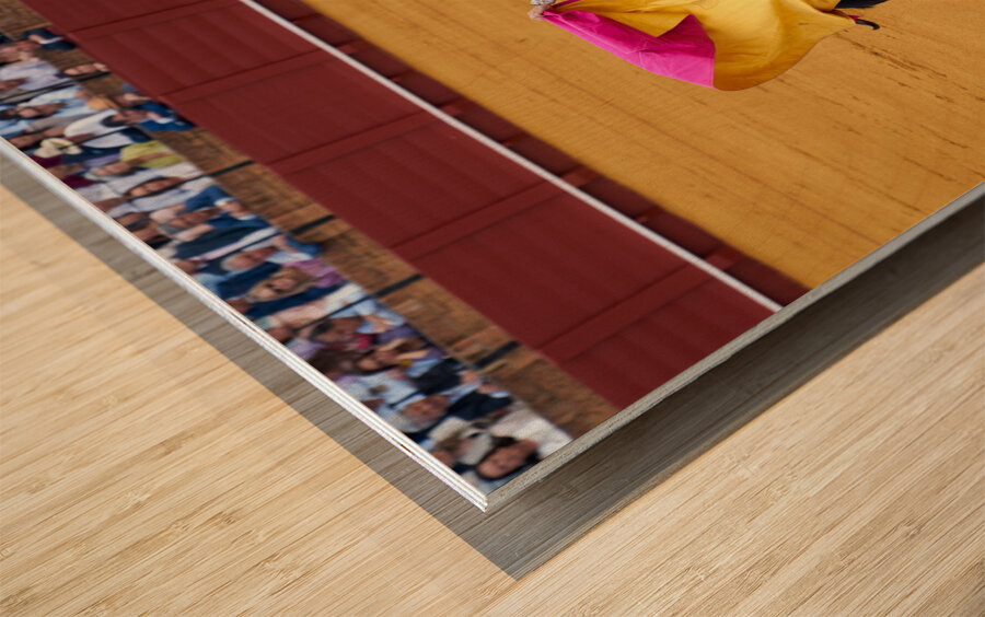 ANDALUSIA SPAIN. Bullfight in Seville Arena Wood print