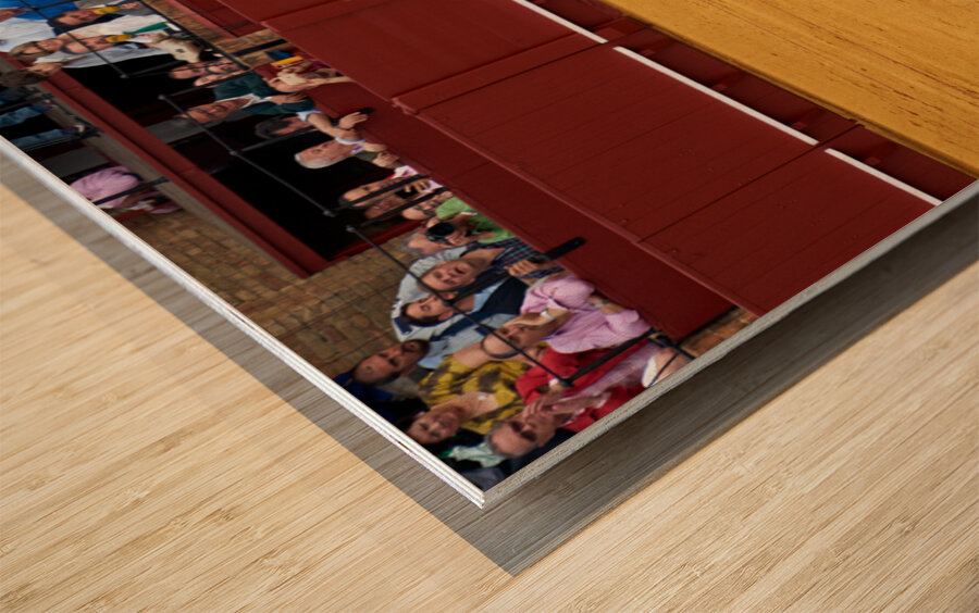 ANDALUSIA SPAIN. Bullfight in Seville Arena Wood print