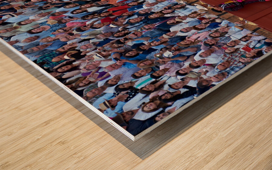 ANDALUSIA SPAIN. Bullfight in Seville Arena Wood print