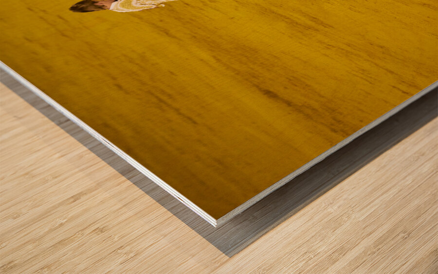 ANDALUSIA SPAIN. Bullfight in Seville Arena Wood print