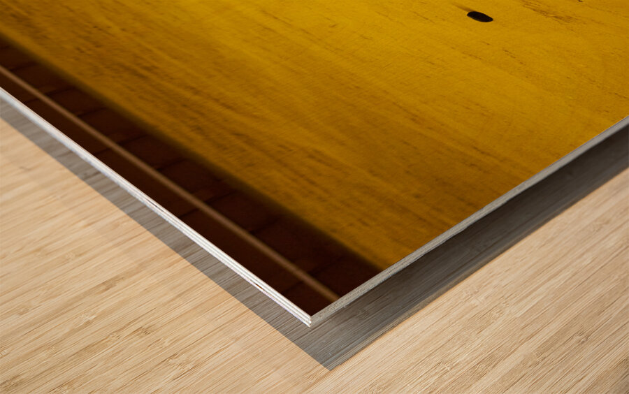 ANDALUSIA SPAIN. Bullfight in Seville Arena Wood print