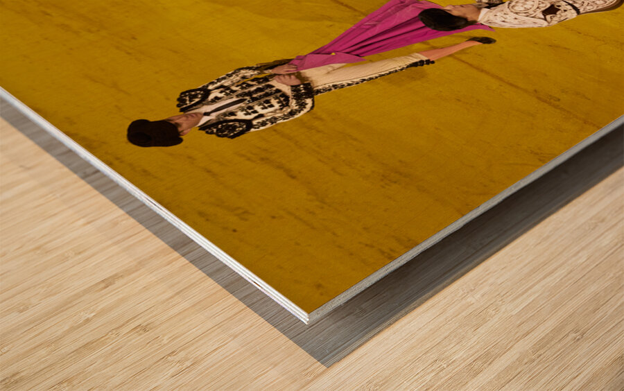 ANDALUSIA SPAIN. Bullfight in Seville Arena Wood print