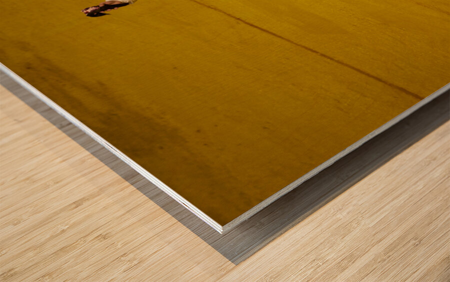 ANDALUSIA SPAIN. Bullfight in Seville Arena Wood print