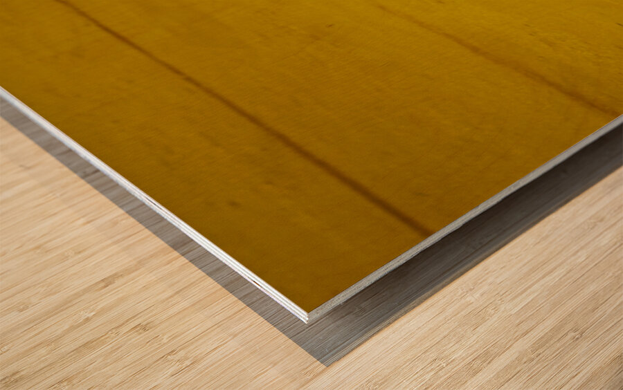 ANDALUSIA SPAIN. Bullfight in Seville Arena Wood print