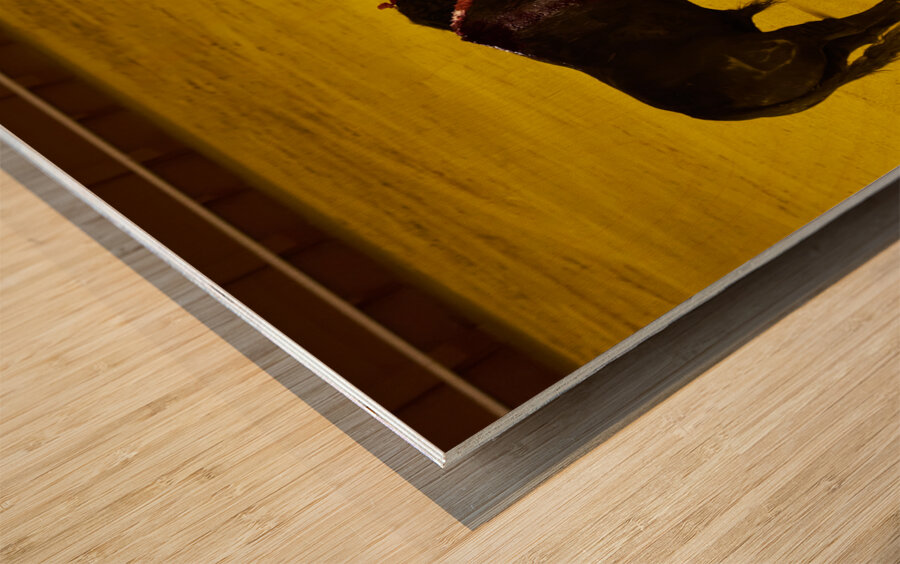 ANDALUSIA SPAIN. Bullfight in Seville Arena Wood print