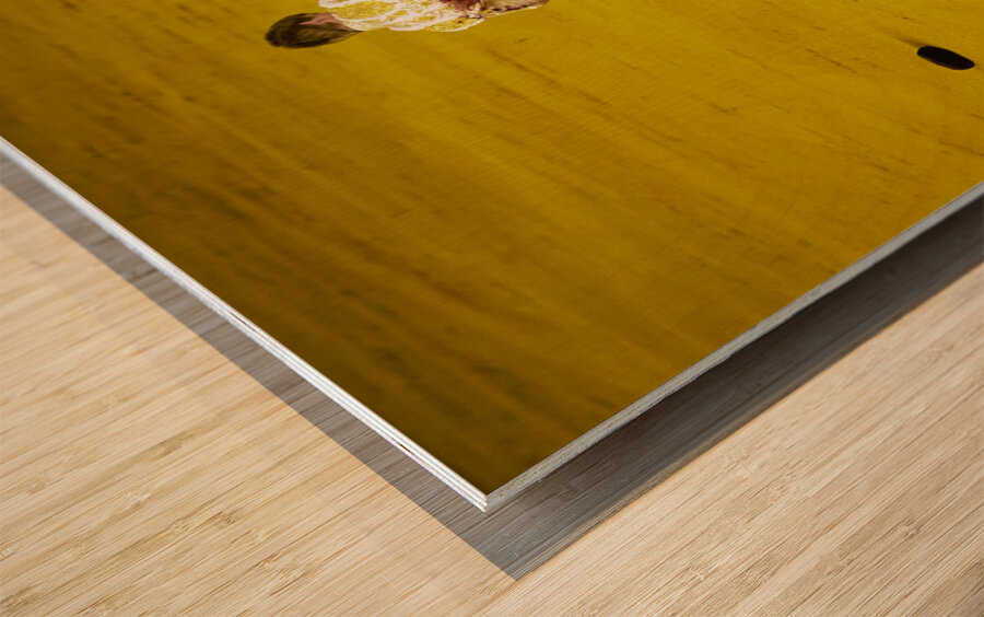 ANDALUSIA SPAIN. Bullfight in Seville Arena Wood print