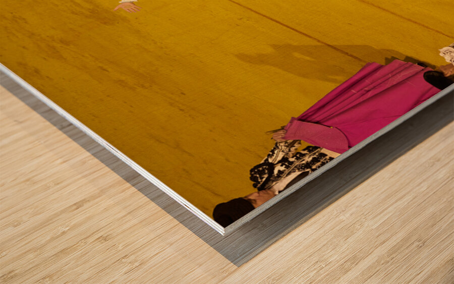 ANDALUSIA SPAIN. Bullfight in Seville Arena Wood print