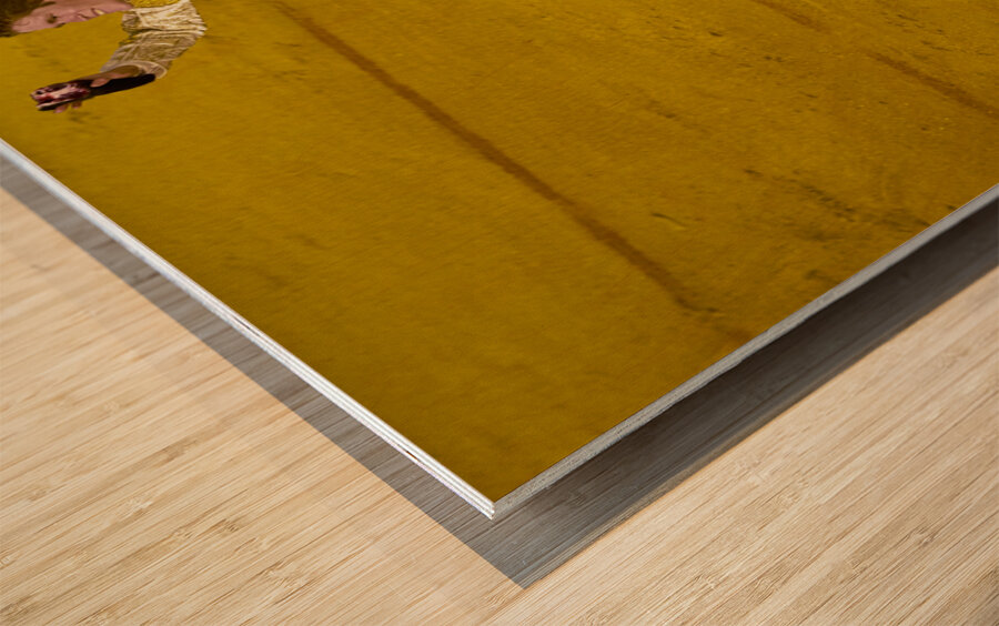 ANDALUSIA SPAIN. Bullfight in Seville Arena Wood print