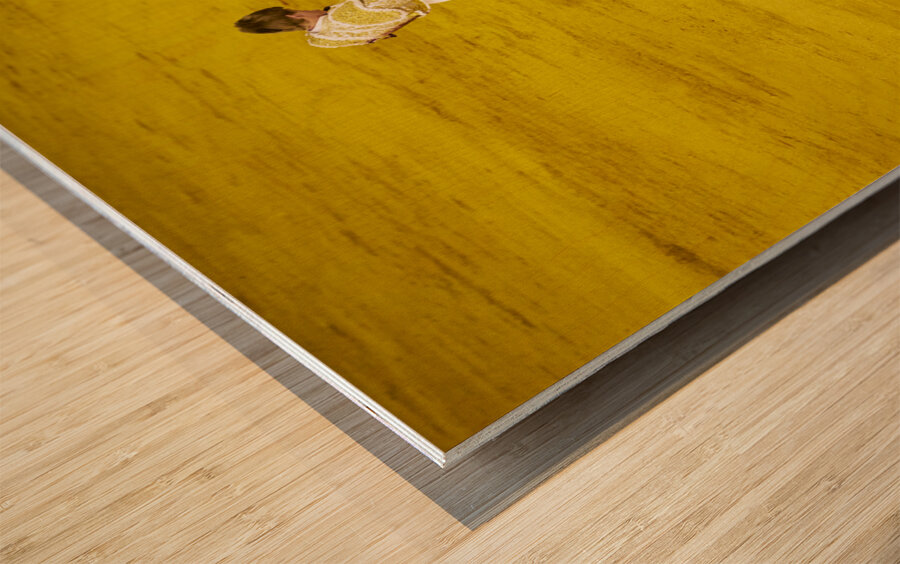 ANDALUSIA SPAIN. Bullfight in Seville Arena Wood print