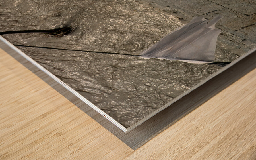 Nepal. Kathmandu. Cremation in Pashupatinath Wood print