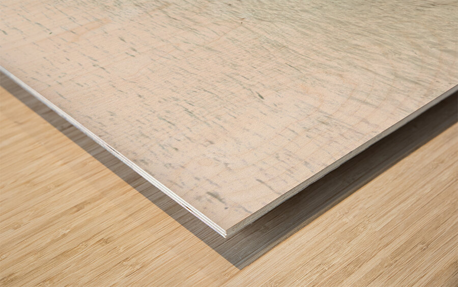 Nepal. Kathmandu. Cremation in Pashupatinath Wood print