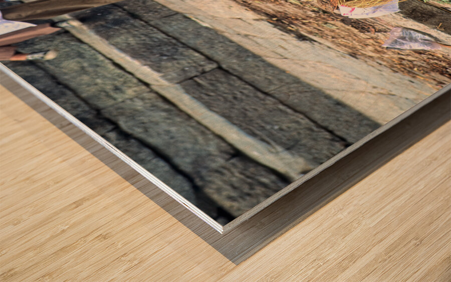 Nepal. Kathmandu. Cremation in Pashupatinath Wood print