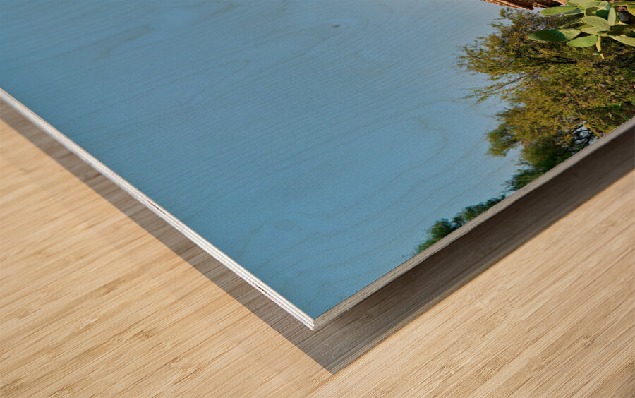 Stilo Calabria Italy. Cattolica di Stilo byzantine church Wood print