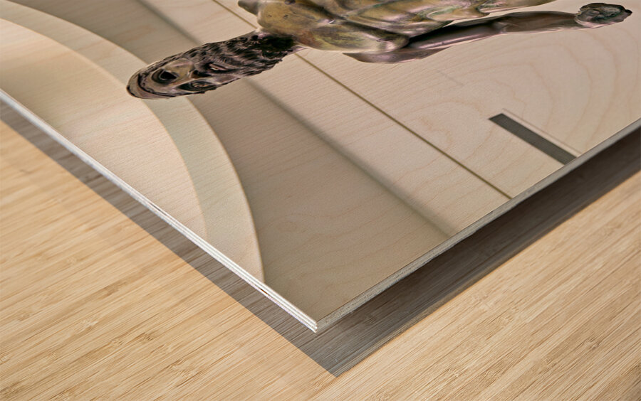 Reggio Calabria. Calabria Italy. The Riace Bronzes at the National Museum of Magna Grecia. Statue B Wood print