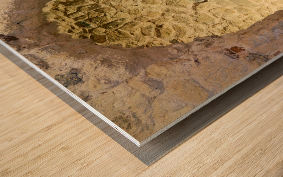 Tropea Calabria Italy. Santa Maria dellIsola Monastery Wood print