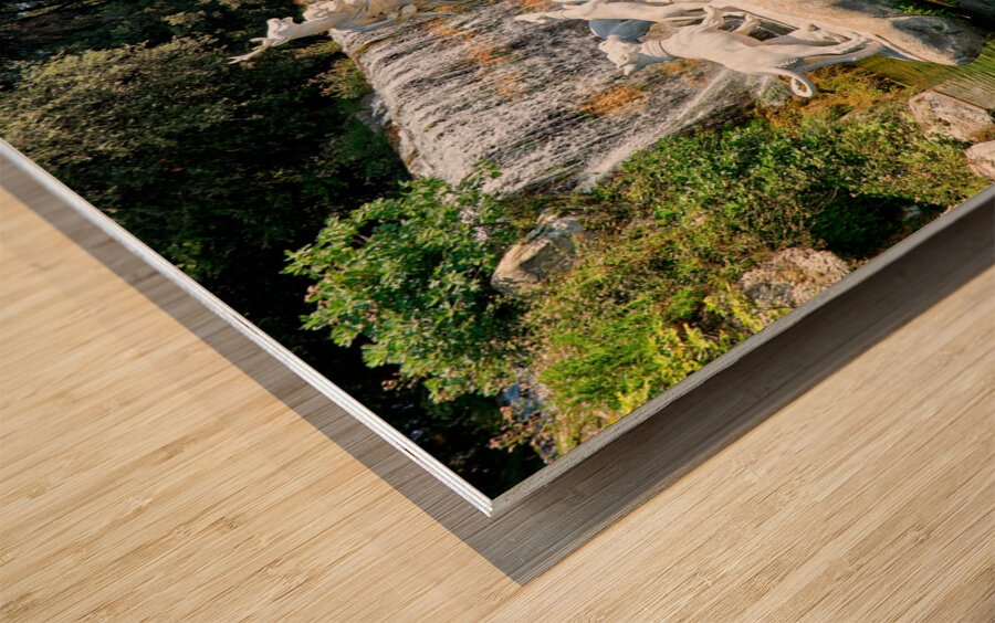 Caserta Campania Italy. The Royal Palace. The fountain of Diana and Actaeon Wood print