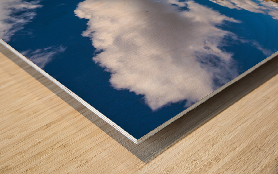 Matera Basilicata Italy. Piazza Vittorio Veneto Wood print