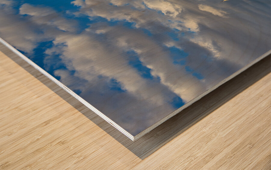 Matera Basilicata Italy. Cityscape. I sassi di Matera Wood print