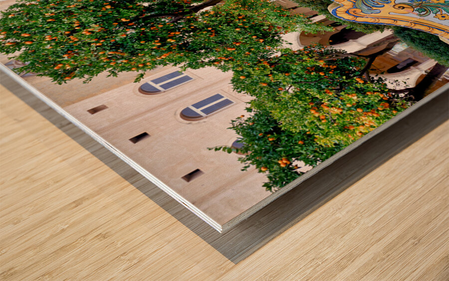 Naples Campania Italy. Toledo is a station on Line 1 of the Naples Metro named after nearby Via Toledo Wood print