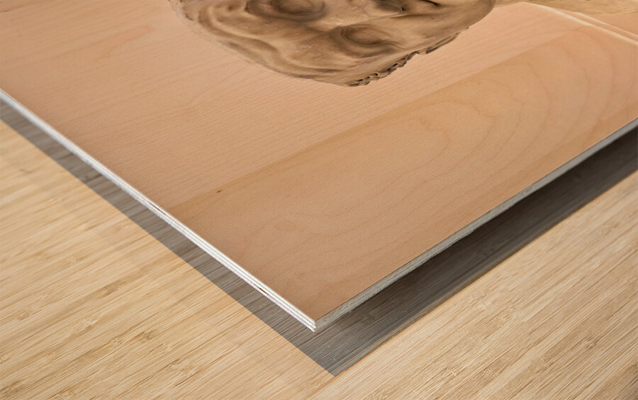 Naples Campania Italy. The National Archaeological Museum of Naples Museo Archeologico Nazionale di Napoli Wood print