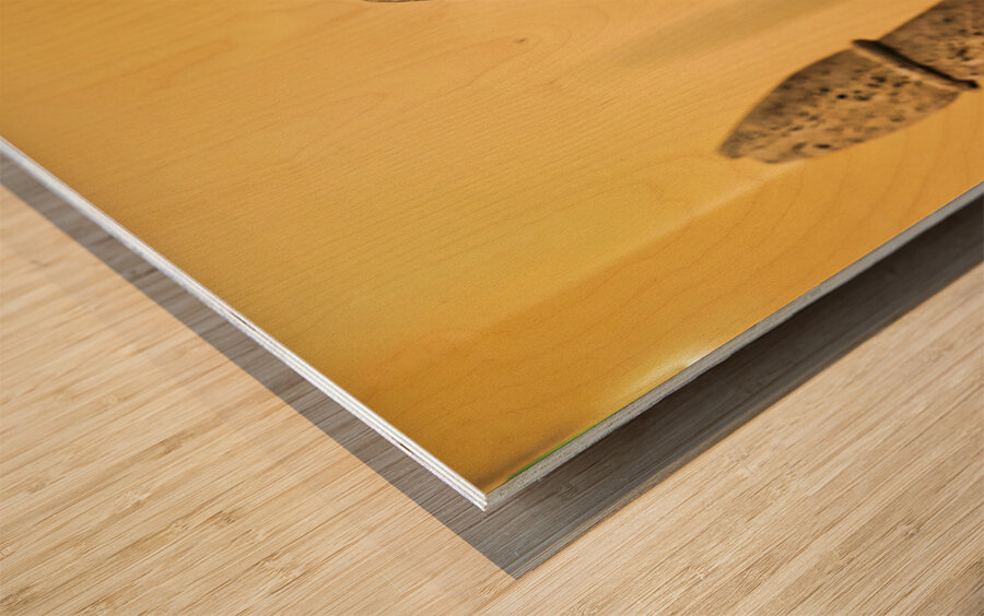 Naples Campania Italy. The National Archaeological Museum of Naples Museo Archeologico Nazionale di Napoli Wood print