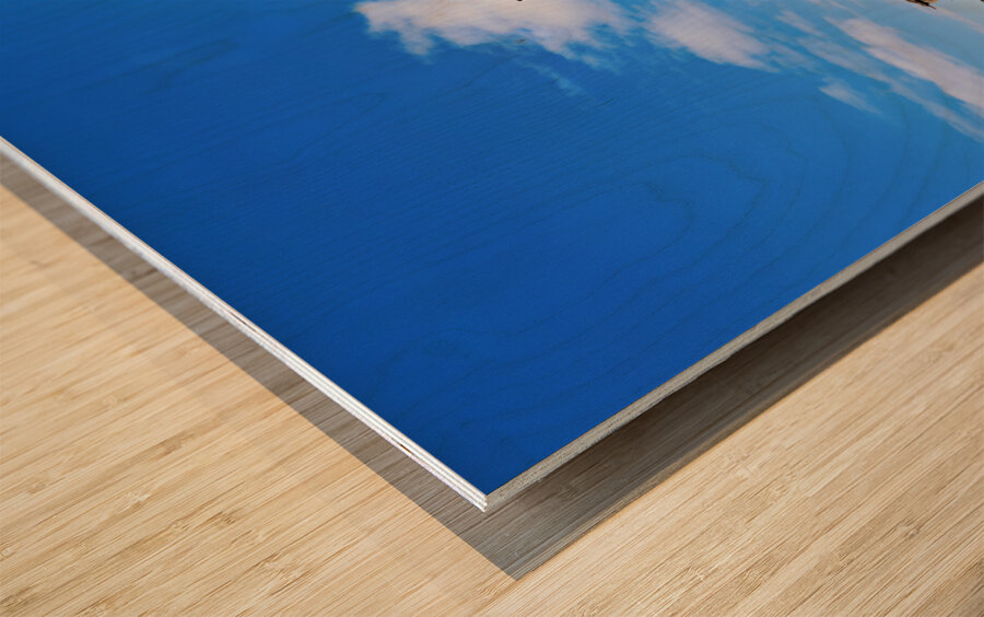 Naples Campania Italy. Pompeii was an ancient Roman city Wood print