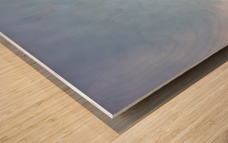 Apulia Puglia Italy. Trani. Basilica Cattedrale Beata Maria Vergine Assunta dedicated to Saint Nicholas at dusk Wood print