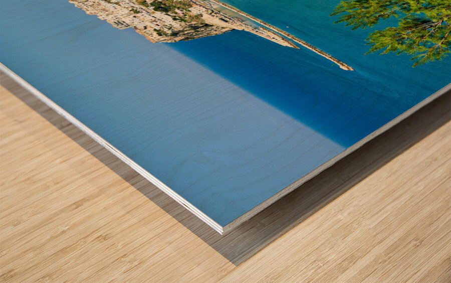 Apulia Puglia Gargano Italy. Elevated view of Peschici Wood print