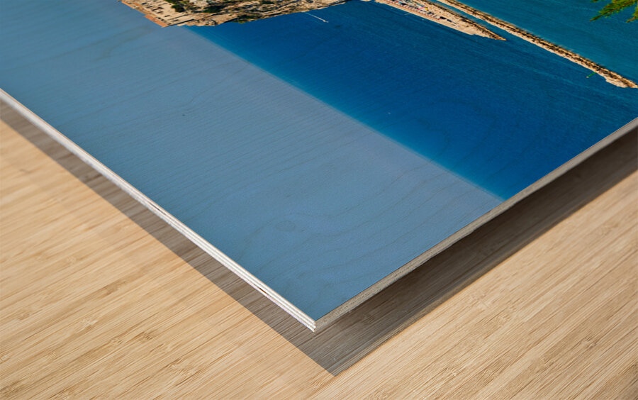 Apulia Puglia Gargano Italy. Elevated view of Peschici Wood print