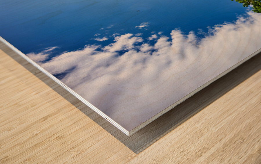 Apulia Puglia Italy. The Basilica of Santa Maria Maggiore di Siponto Wood print