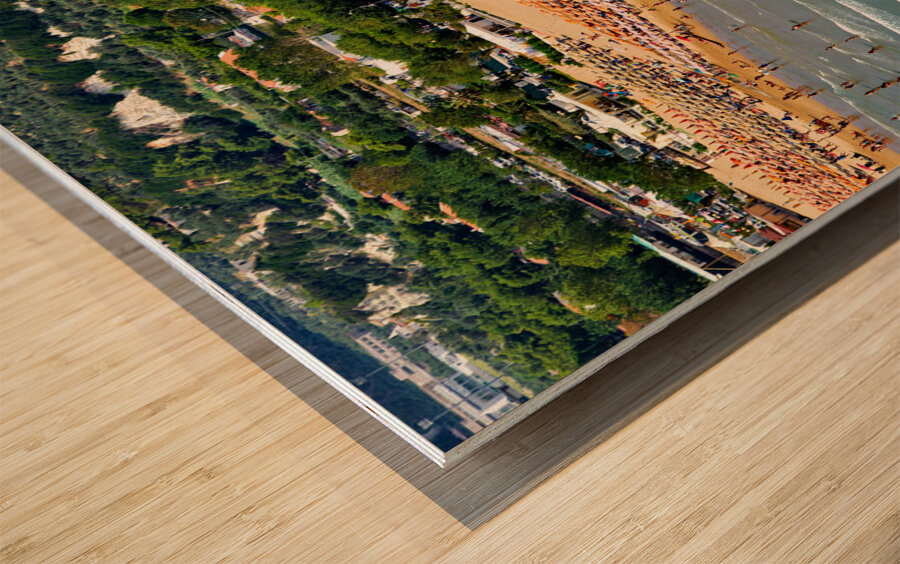 Vieste Gargano. Apulia Puglia Italy. Monolith Pizzomunno and beach Wood print