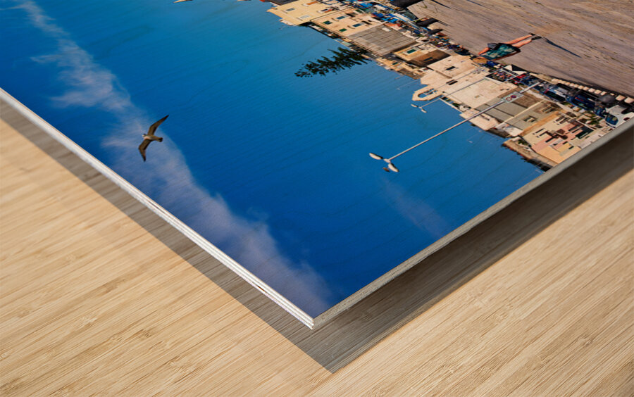 Apulia Puglia Italy. Trani. The seaport Wood print