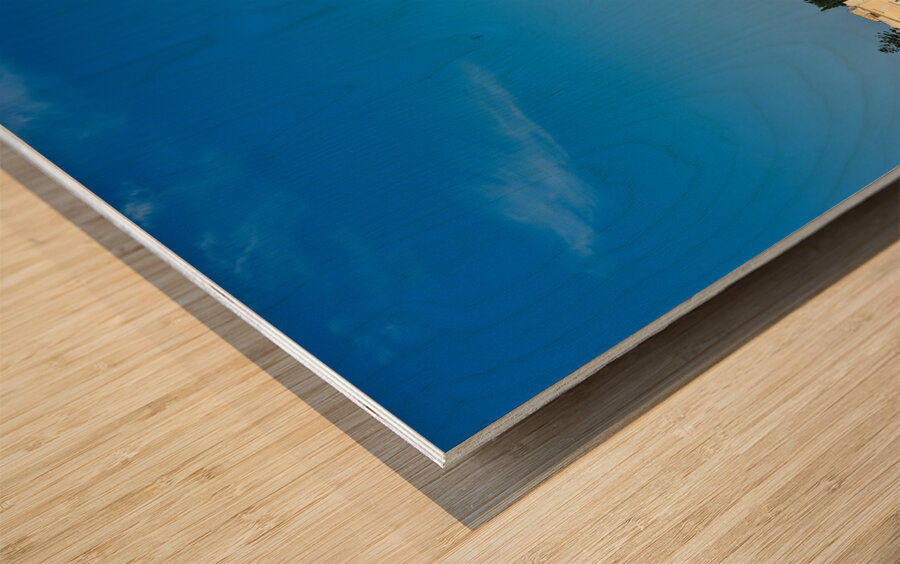 Apulia Puglia Italy. Trani. The seaport Wood print